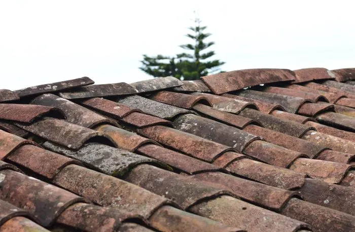 Damaged roof shingles requiring repair